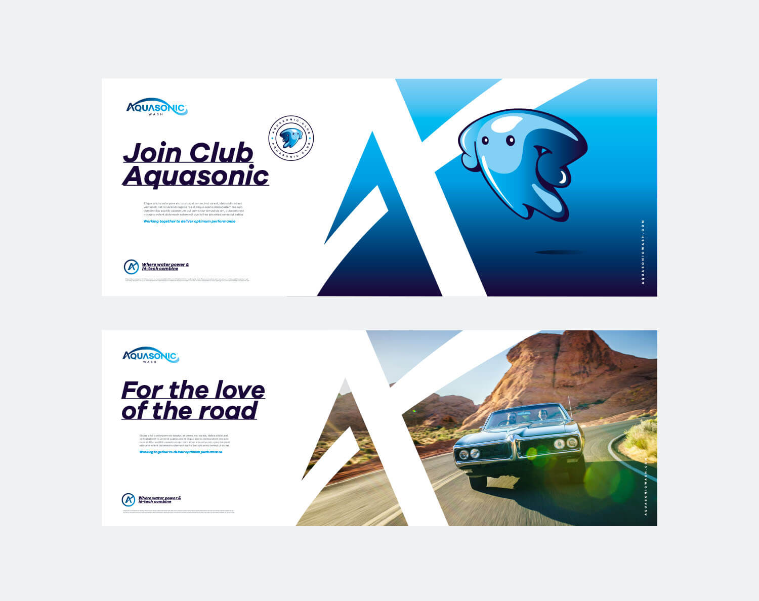 a colour image showing 2 banner advertisements for Aquasonic carwash